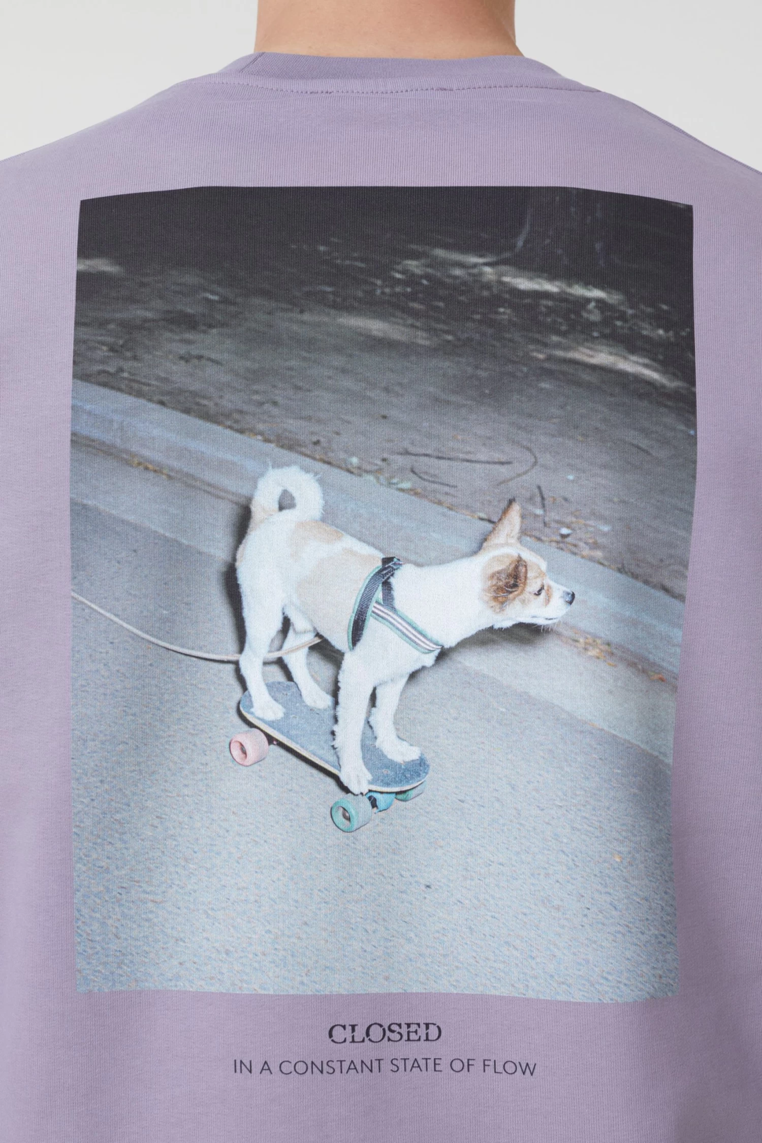 CLOSED Logo Sweatshirt 3 CLOSED Logo Sweatshirt – Bild 3